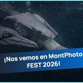 MontPhoto Fest – Фестиваль фотографии природы