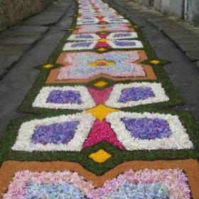 Alfombras de flores de Corpus