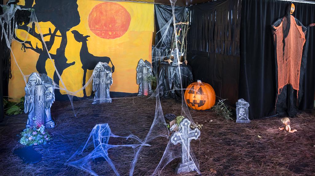 Halloween and Chestnut 2025