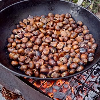 The traditional Chestnut!