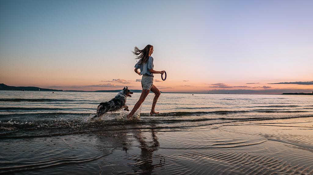 Des vacances avec votre chien en Catalogne